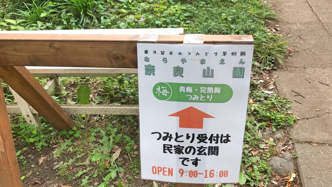 奈良山園　東久留米　梅の摘みとり案内