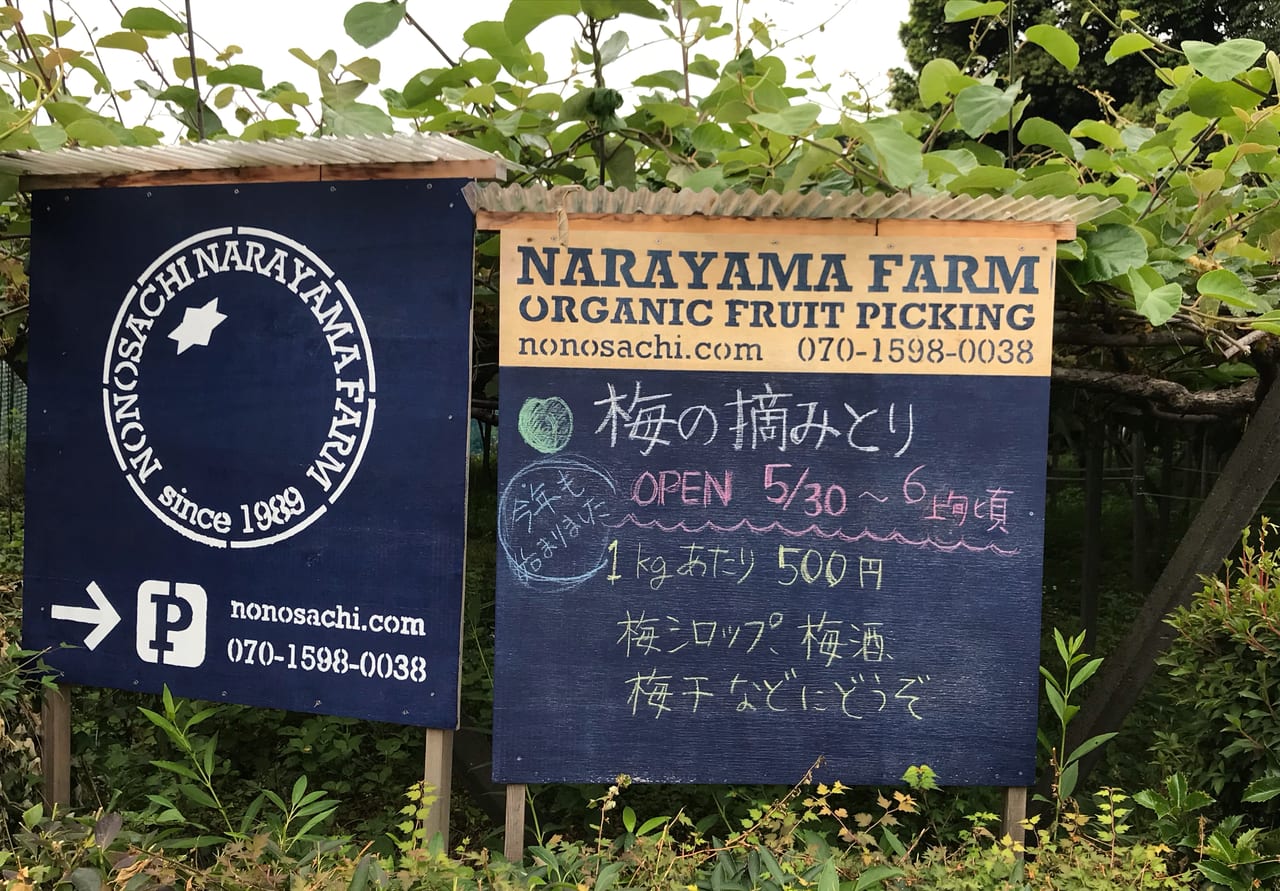 奈良山園　東久留米　梅の摘みとり看板