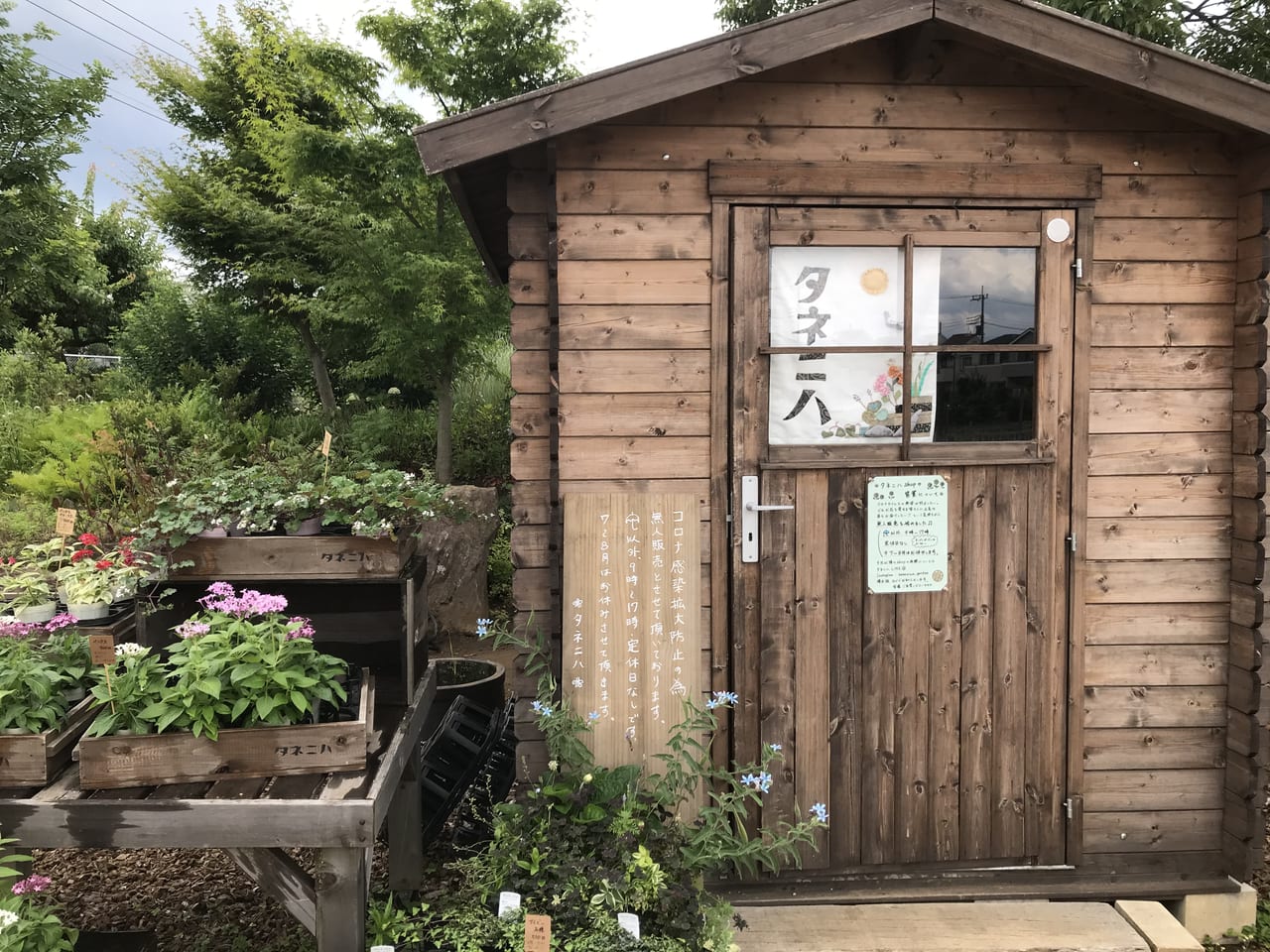 秋田緑花農園タネニハショップ