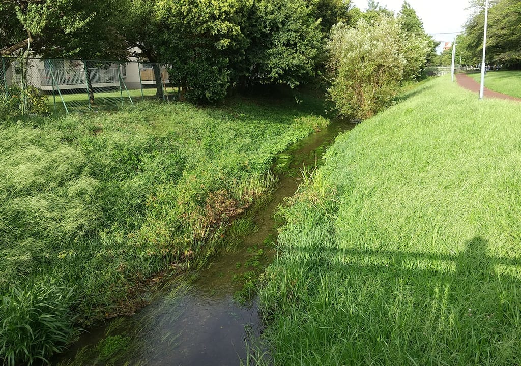 東久留米湧水