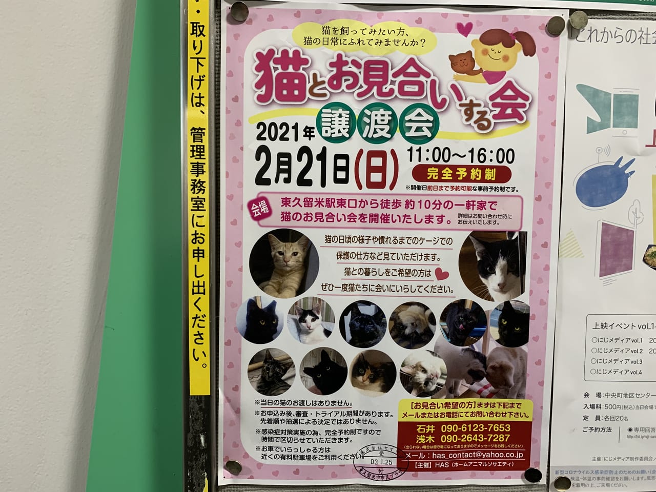 猫とお見合い譲渡会