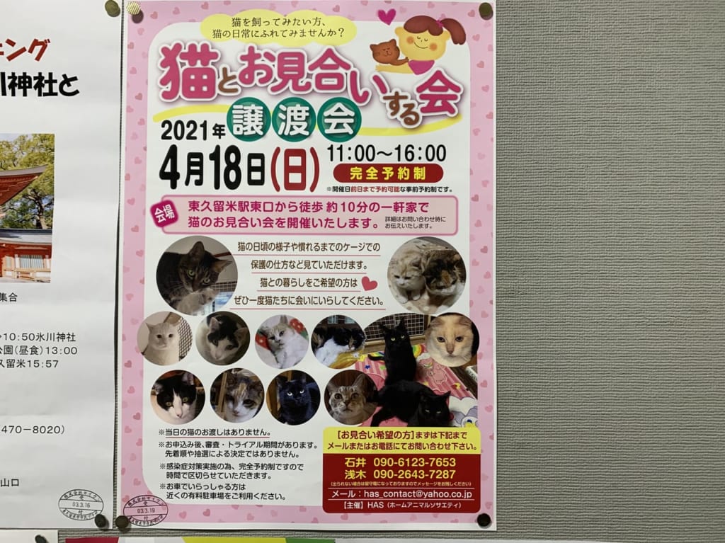 東久留米　保護猫譲渡会