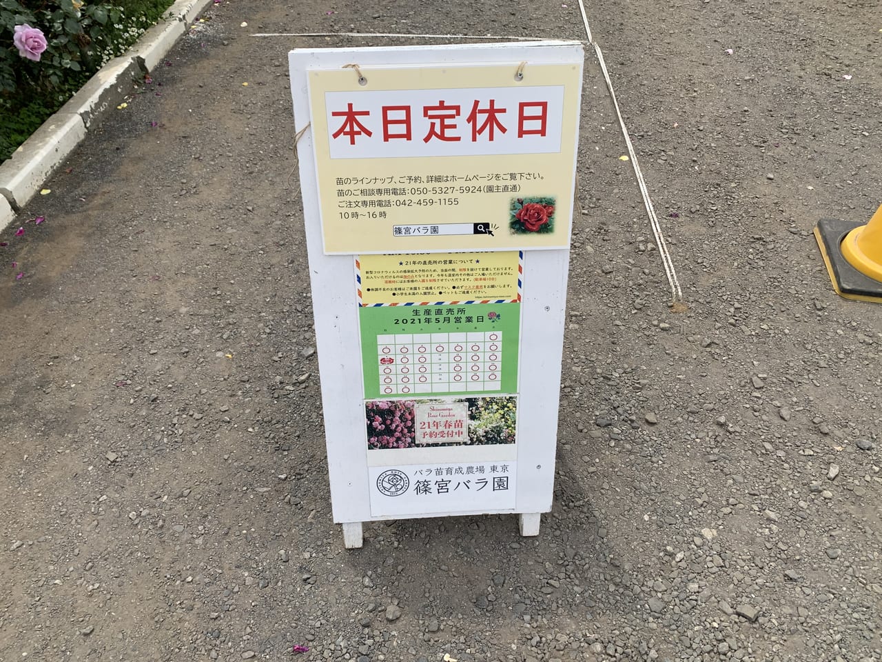 東久留米　篠宮バラ園