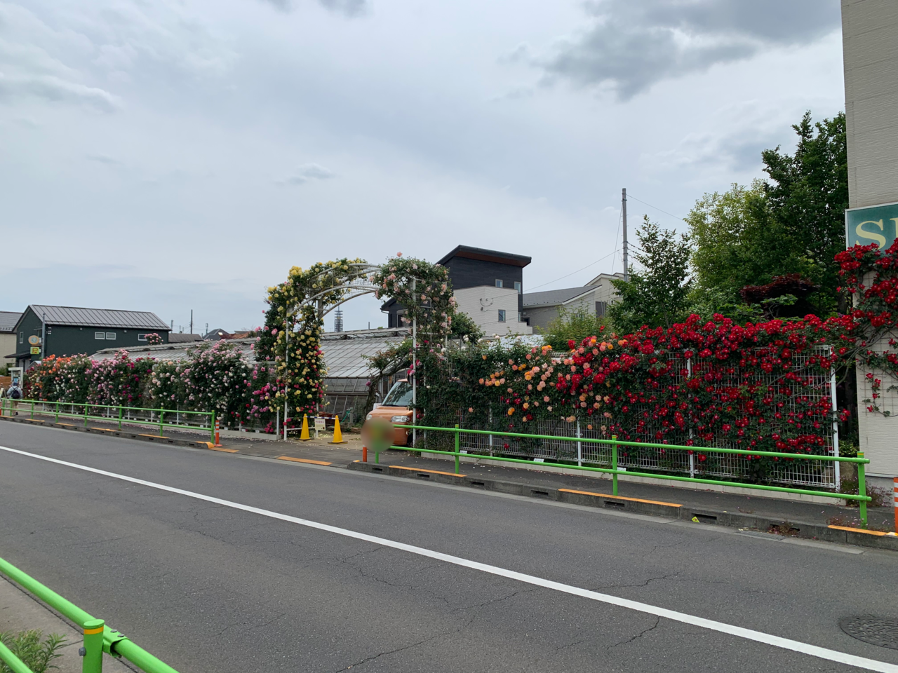 東久留米　篠宮バラ園