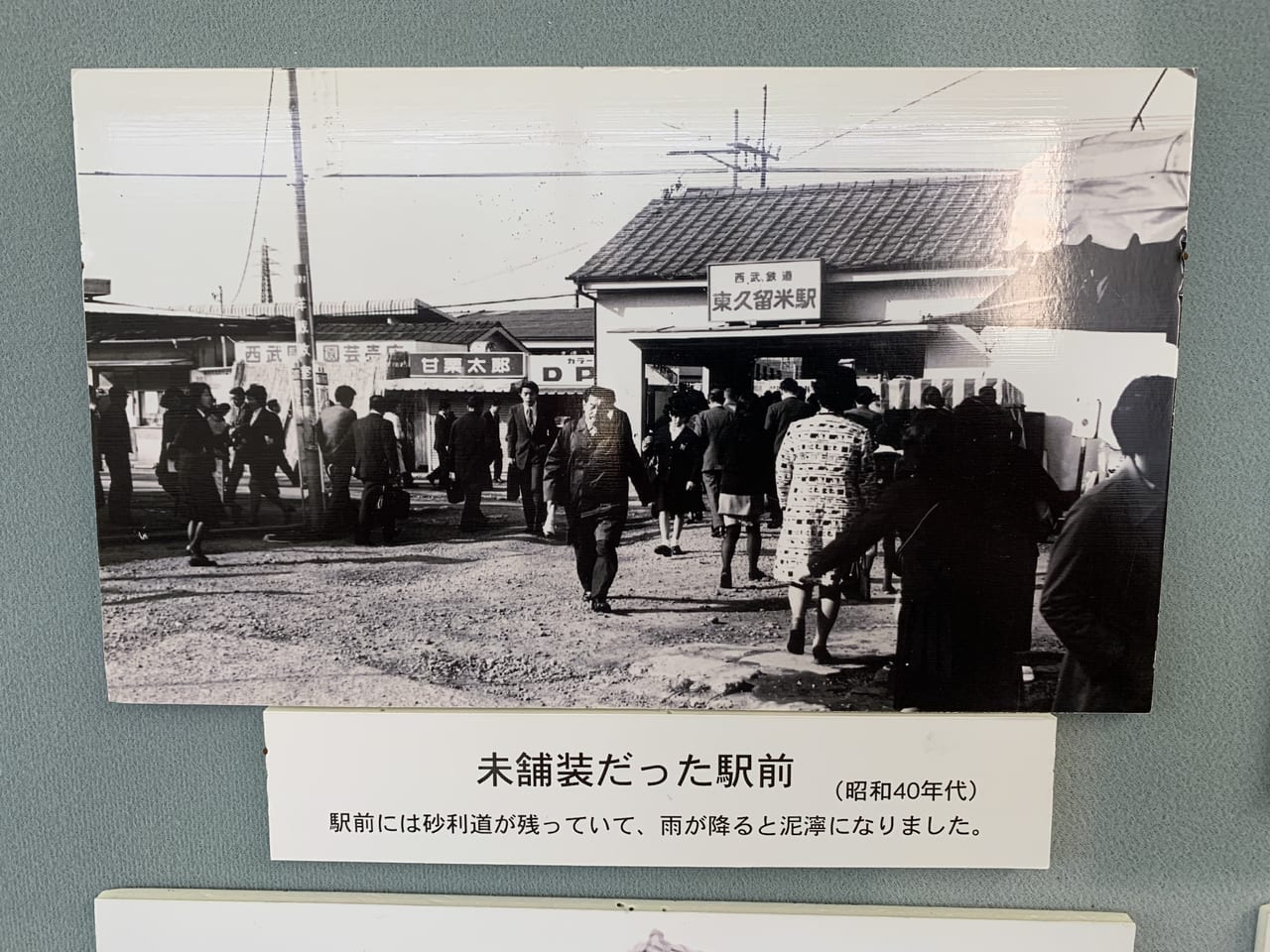 わくわく健康プラザ　昆虫展