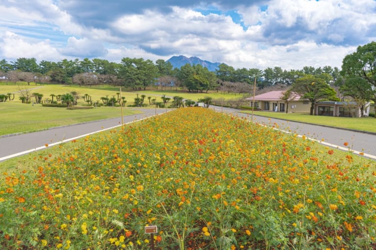 清瀬市　花のある公園　ガーデニングデー