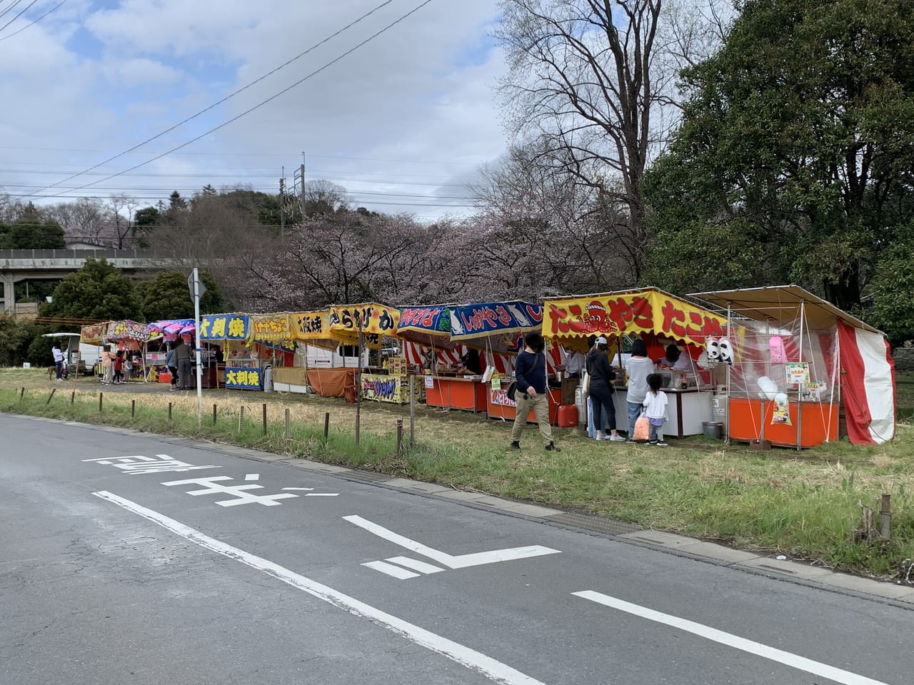 清瀬市　台田運動公園桜