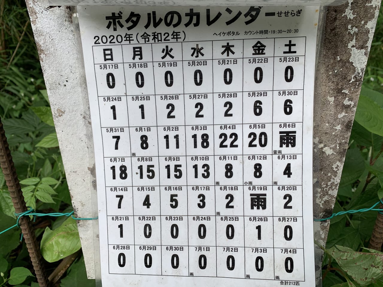 清瀬市 柳瀬川回廊 の 中里緑地保全地域 でホタルが見られる季節になりました しかし まだまだホタルの数は少ないです 号外net 東久留米市 清瀬市