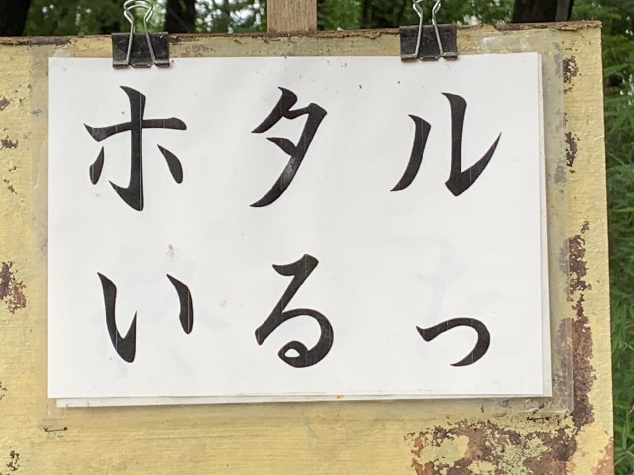 清瀬市 柳瀬川回廊 の 中里緑地保全地域 でホタルが見られる季節になりました しかし まだまだホタルの数は少ないです 号外net 東久留米市 清瀬市