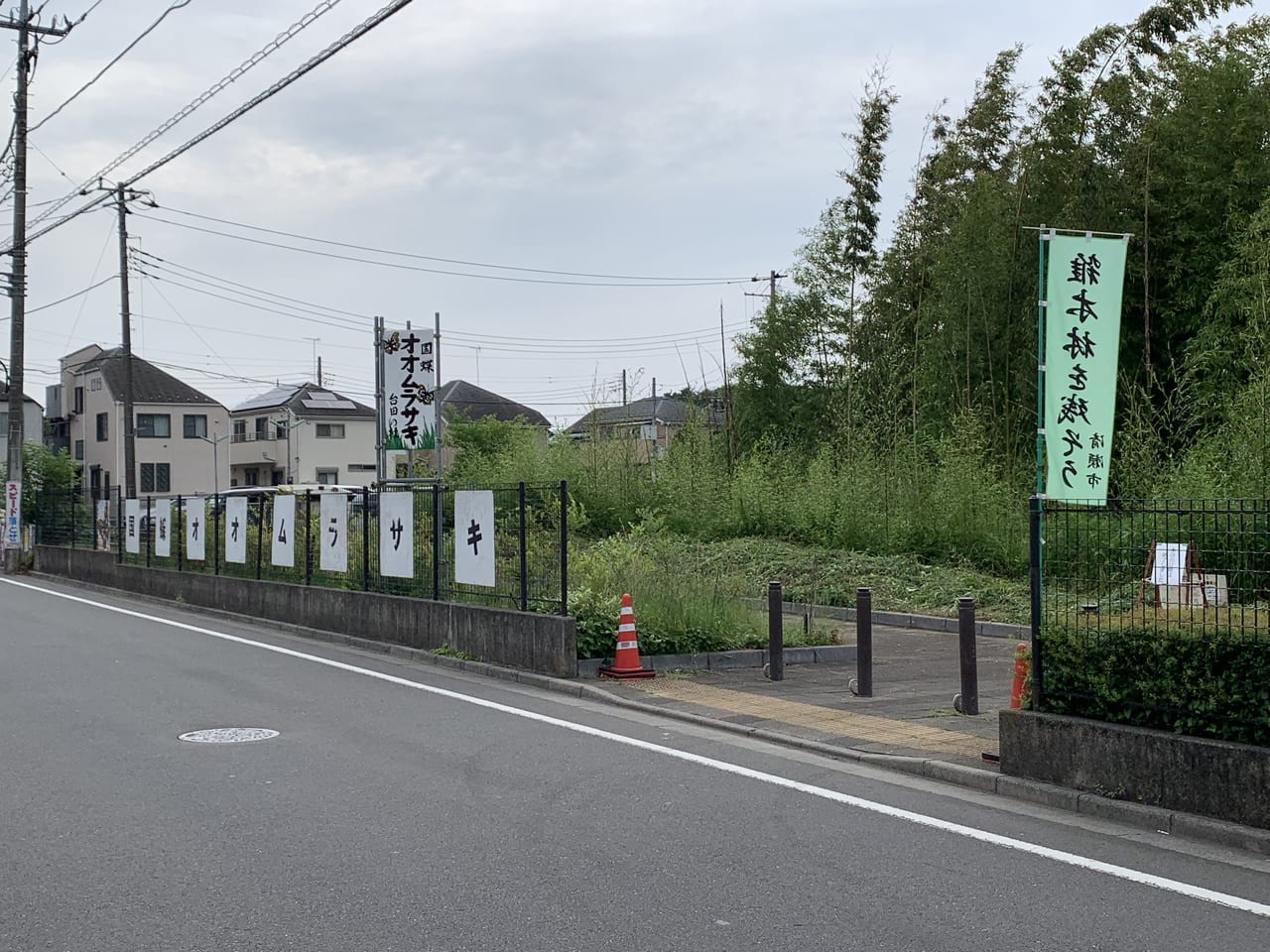 台田の杜　オオムラサキ公開