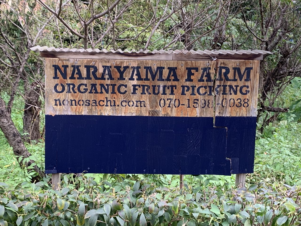 奈良山園　キウイフルーツつみとり体験