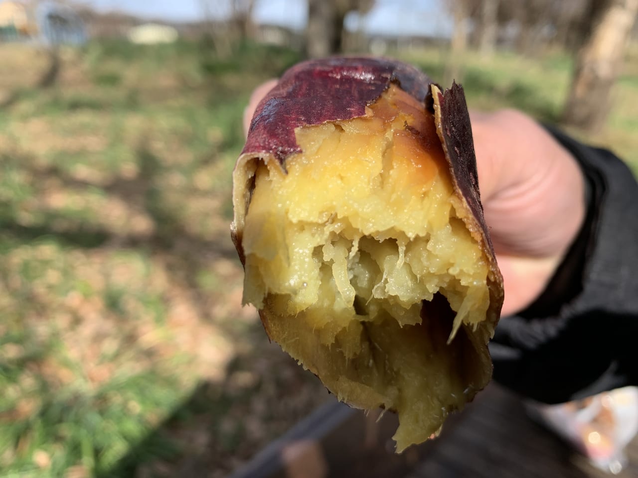 壺焼き芋卯　オープン