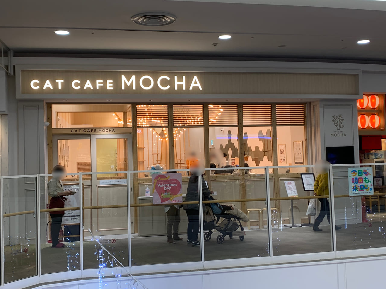 イオンモール東久留米　猫カフェMOCHA来店