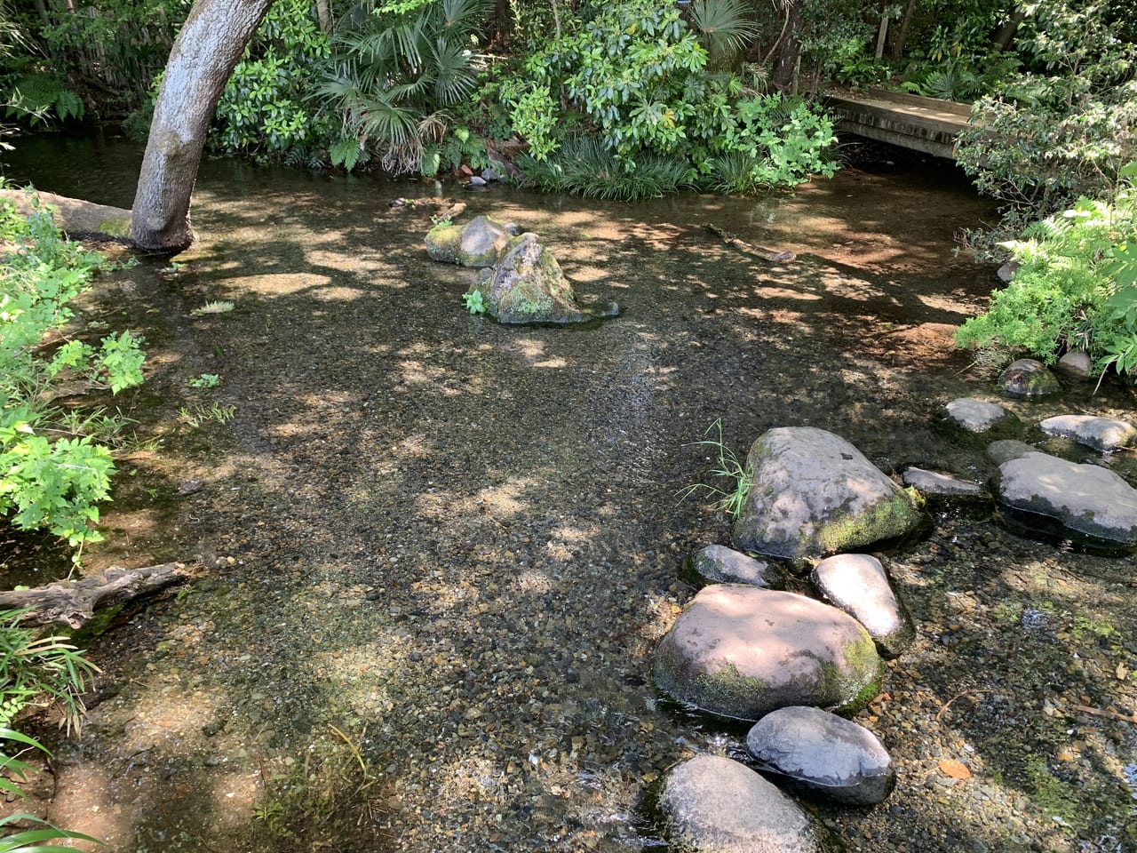 落合川　穴場ツアー