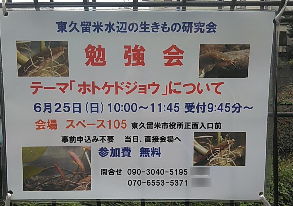 ホトケドジョウの勉強会