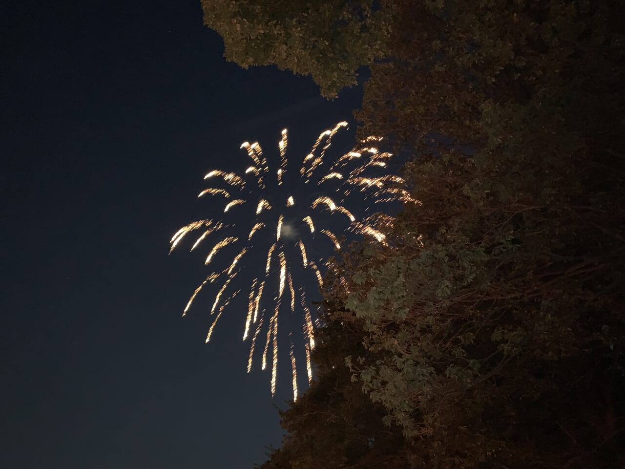 202408駅前祭り訪問