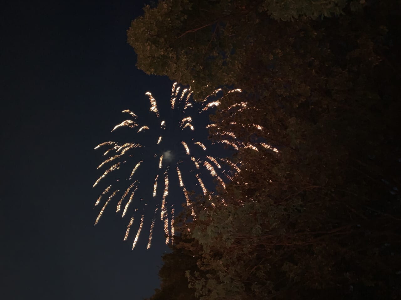 202408駅前祭り訪問