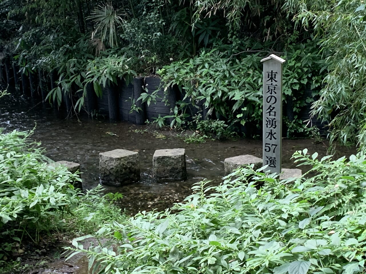 202409さいかち窪　湧水