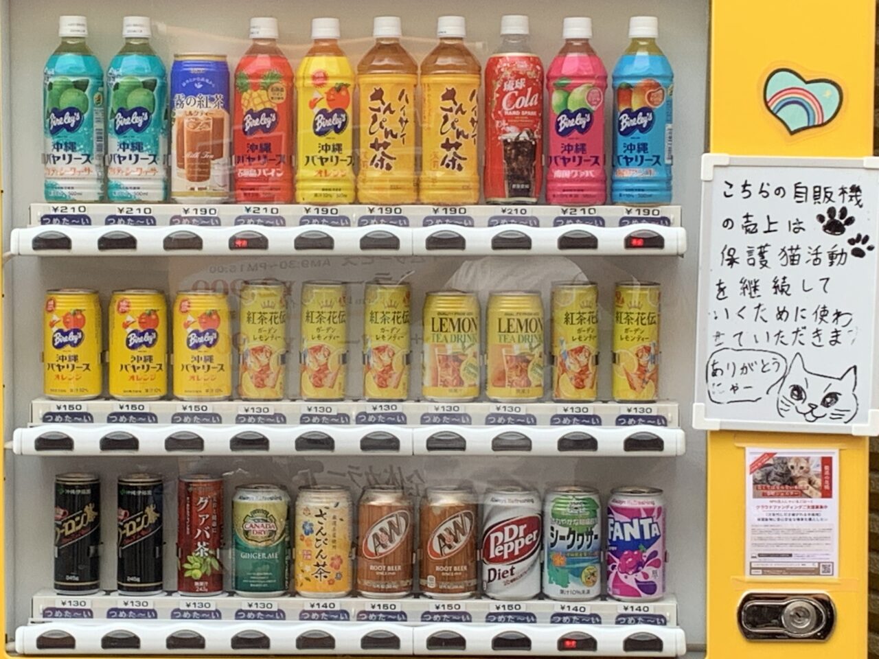 202505ふれあい譲渡会