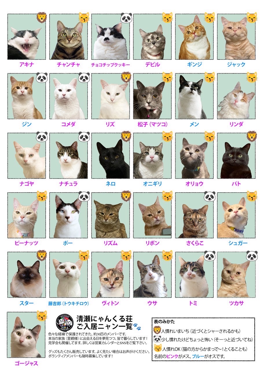 202505ふれあい譲渡会
