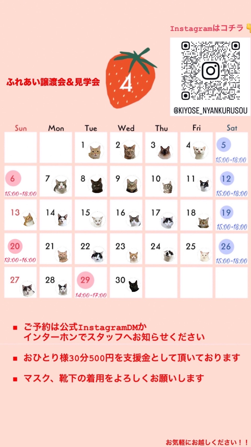 202504ふれあい譲渡会