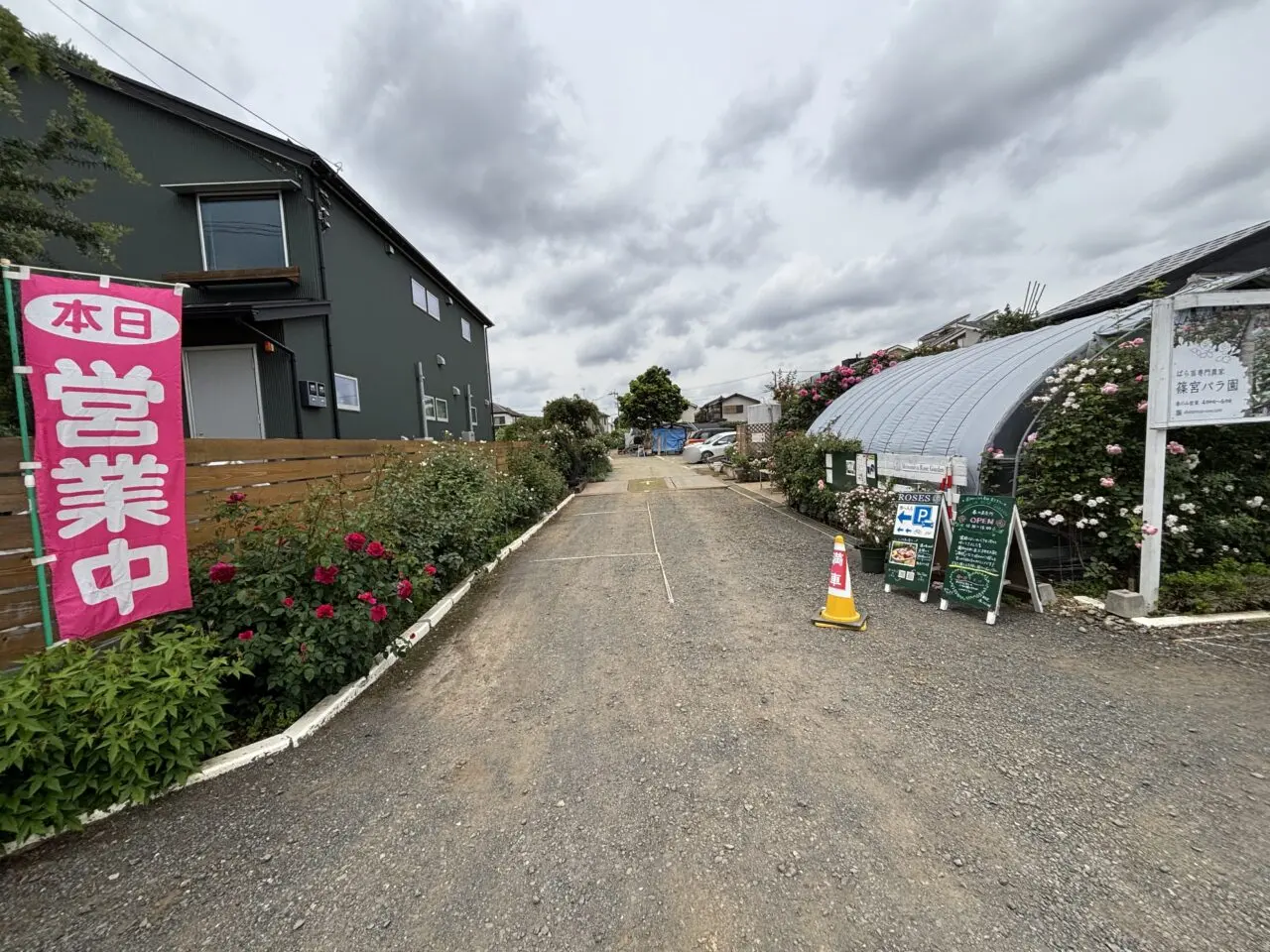 202505篠宮バラ園