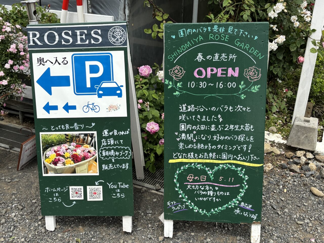 202505篠宮バラ園