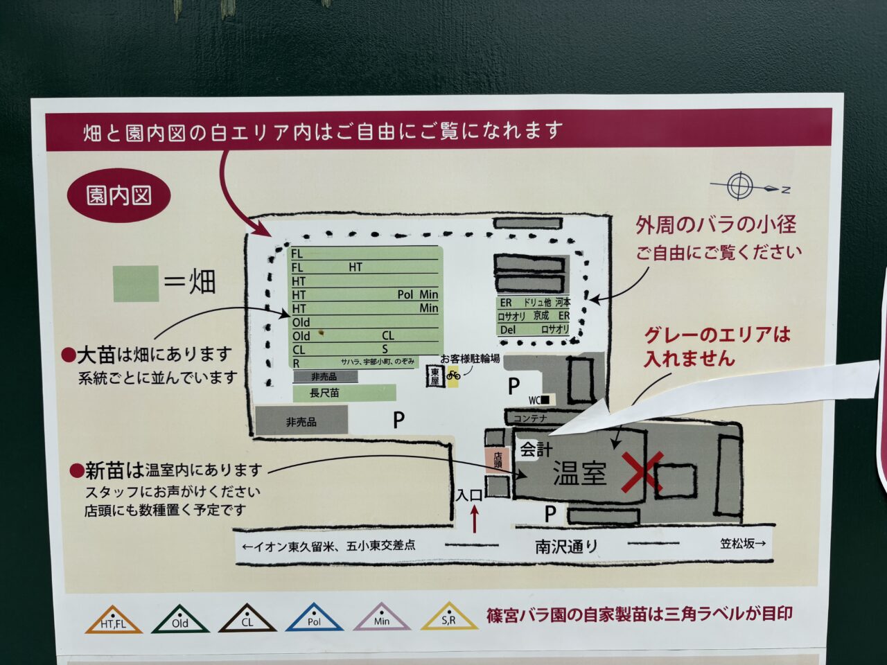 202505篠宮バラ園