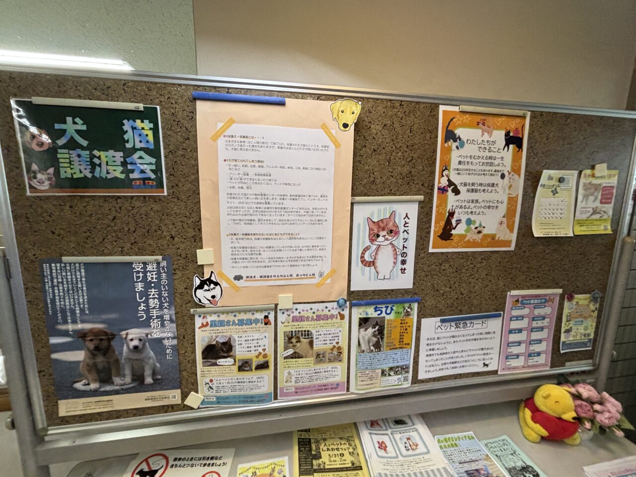 202506人とペットのしあわせフェア　訪問