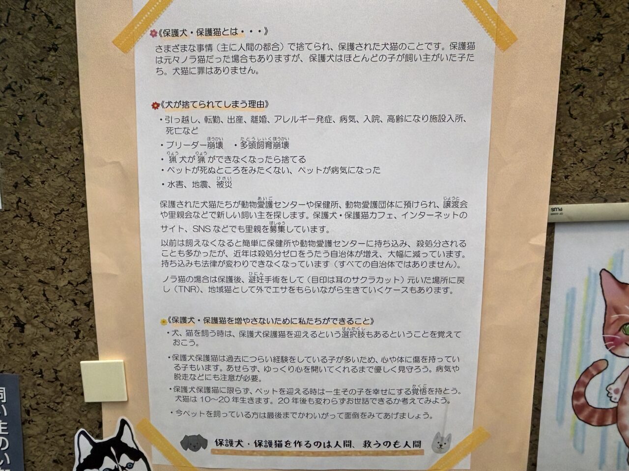 202506人とペットのしあわせフェア　訪問