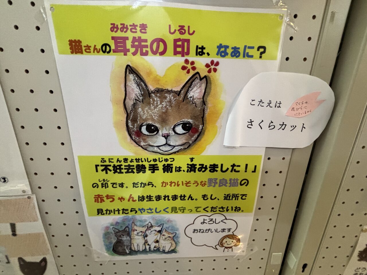 202506人とペットのしあわせフェア　訪問