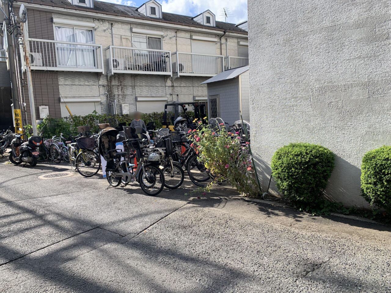 202505本橋家まつり