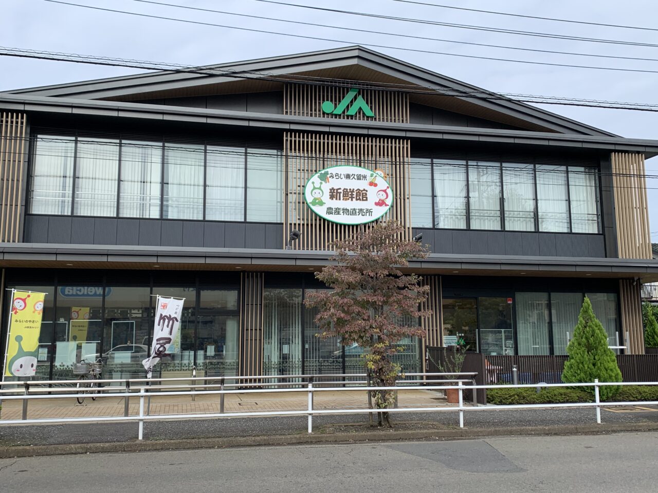 202506新玉ねぎフェア