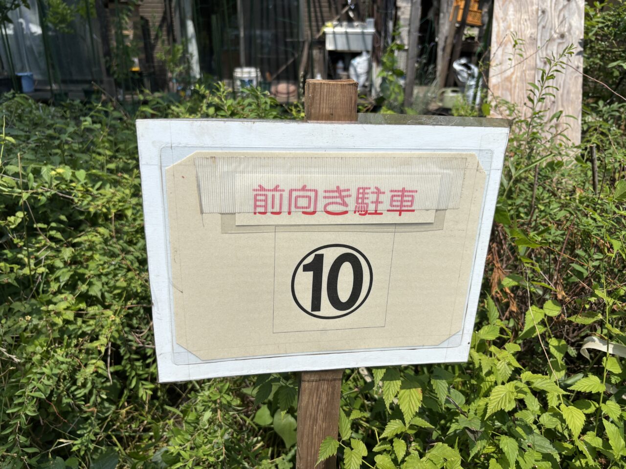 202506オオムラサキ　訪問