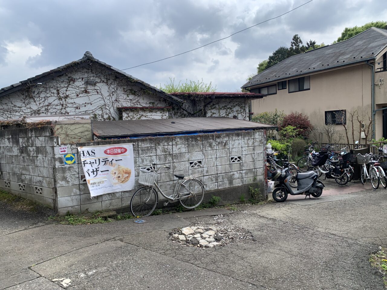202507HASバザー　訪問