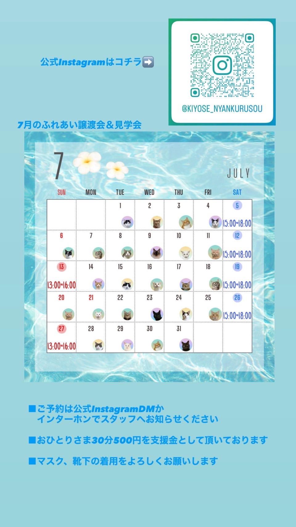 202507ふれあい譲渡会