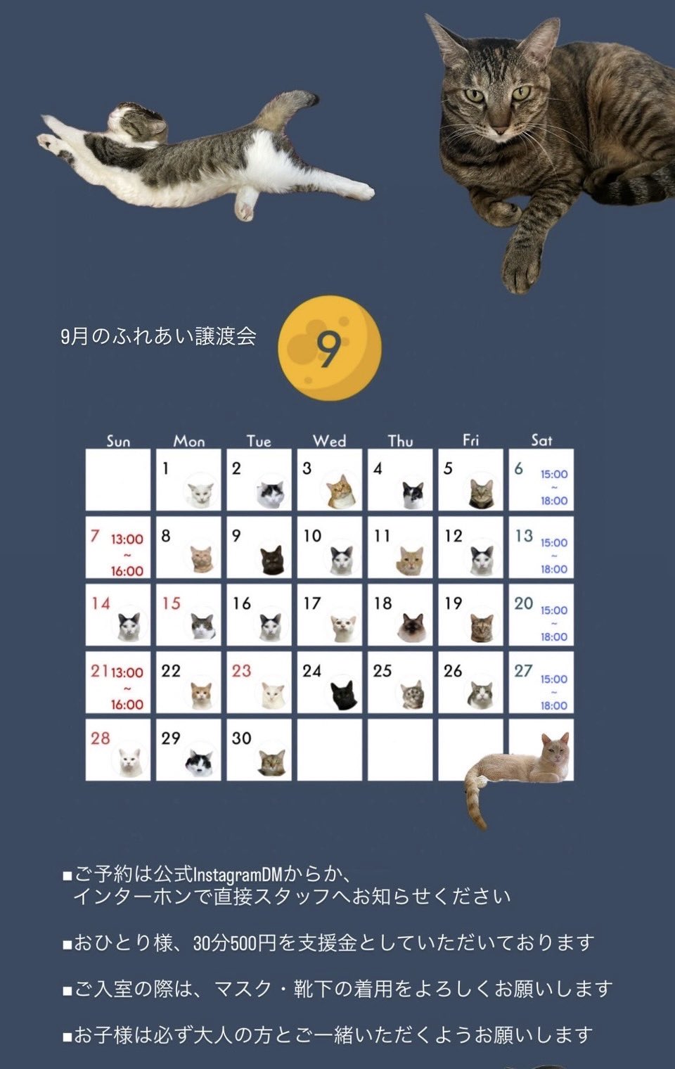 202509ふれあい譲渡会