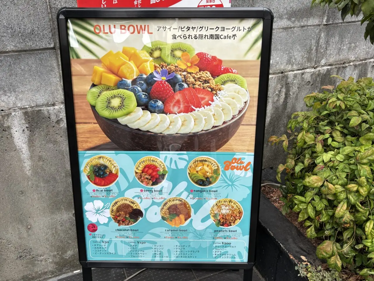 OLU　オープン
