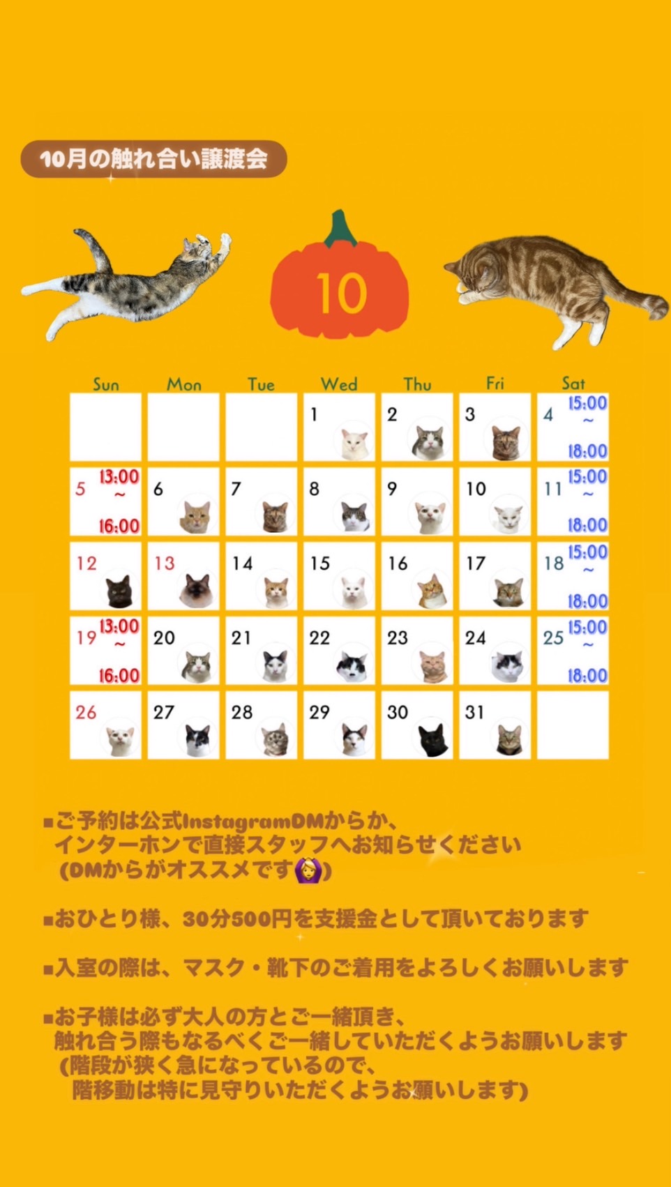 202510ふれあい譲渡会