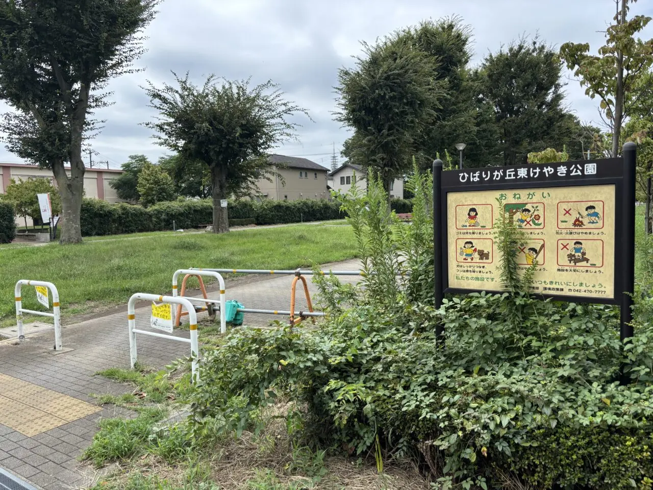 202509国際交流まつり