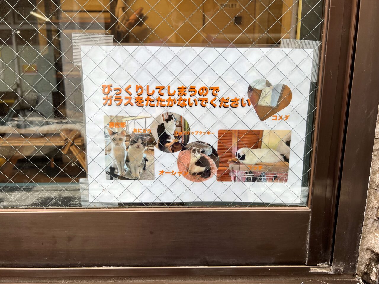 202510ふれあい譲渡会