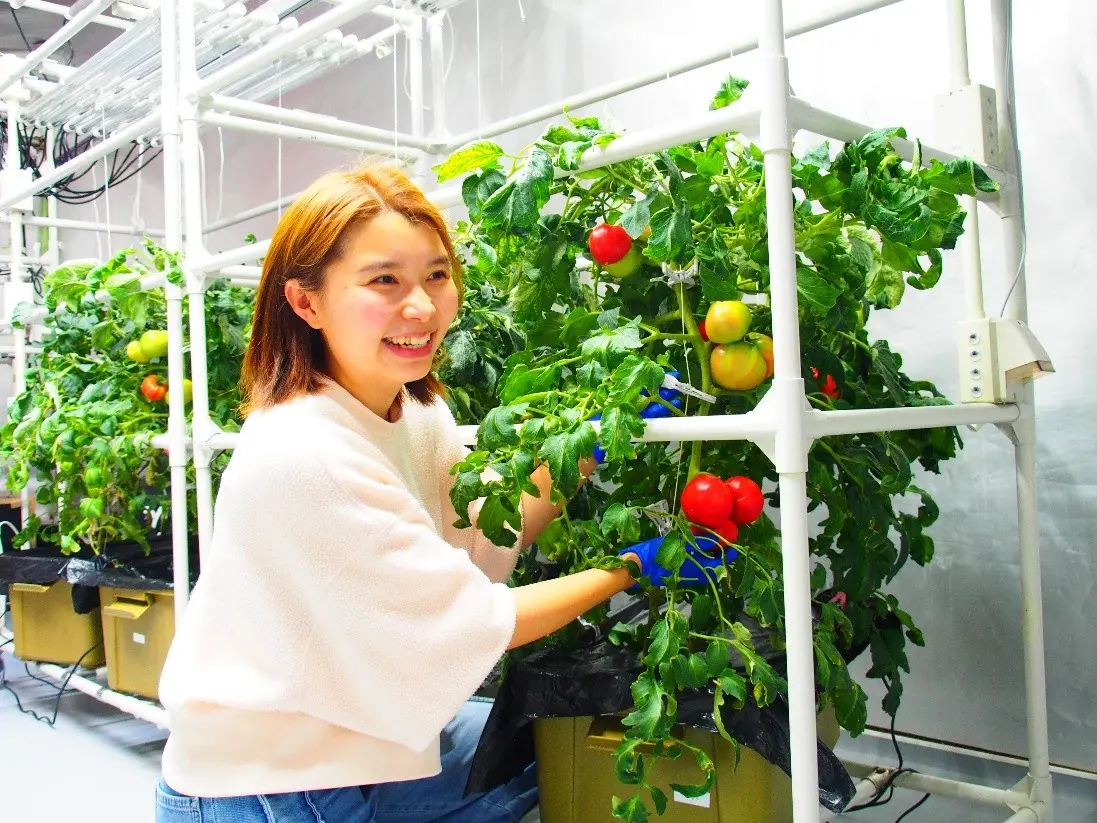 矢守様　研究成果