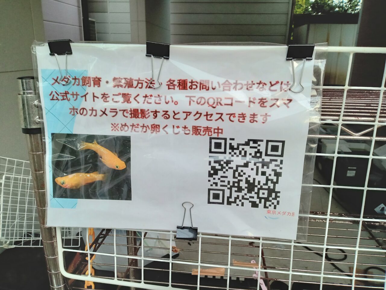 メダカ無人販売