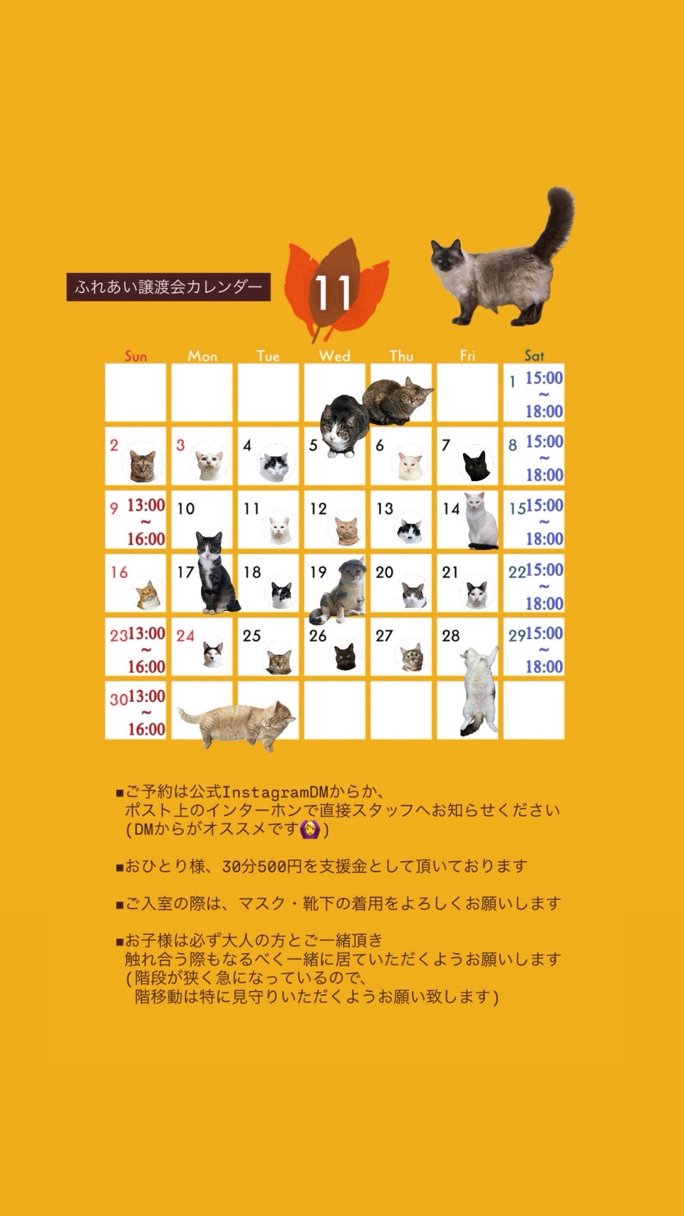 202510ふれあい譲渡会