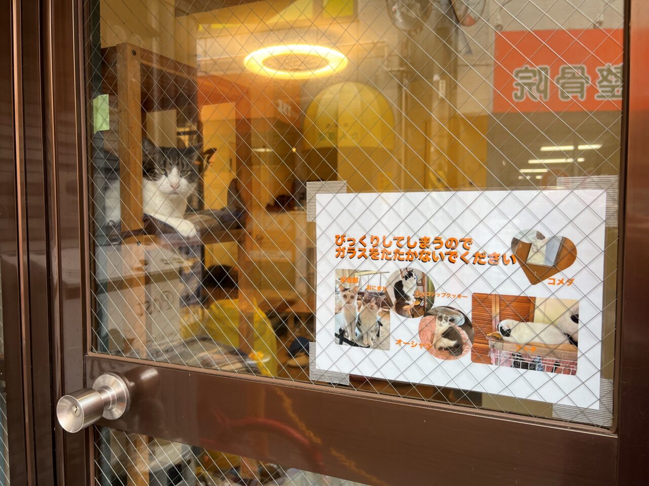 202510ふれあい譲渡会