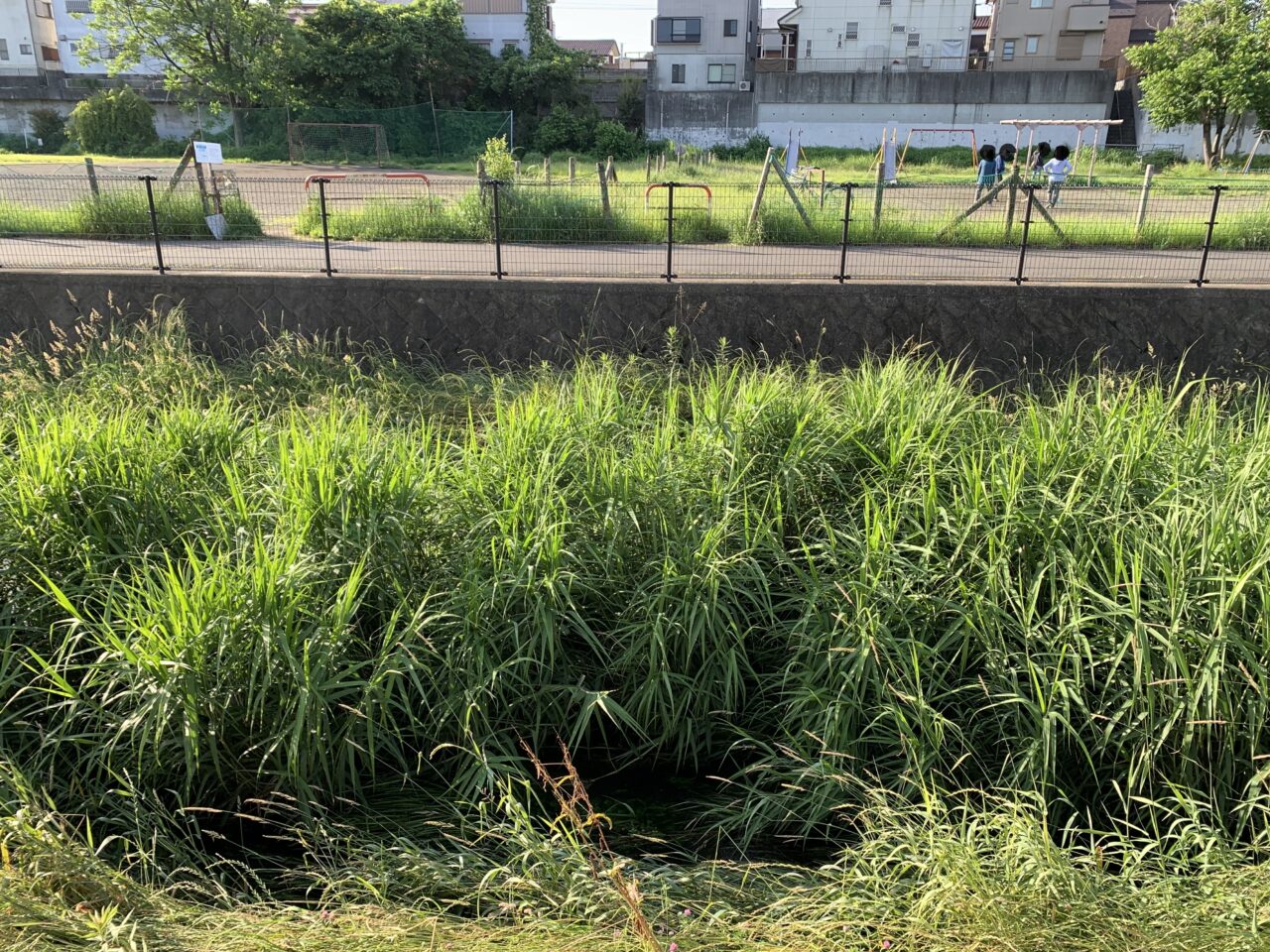 202511不動橋広場バザー