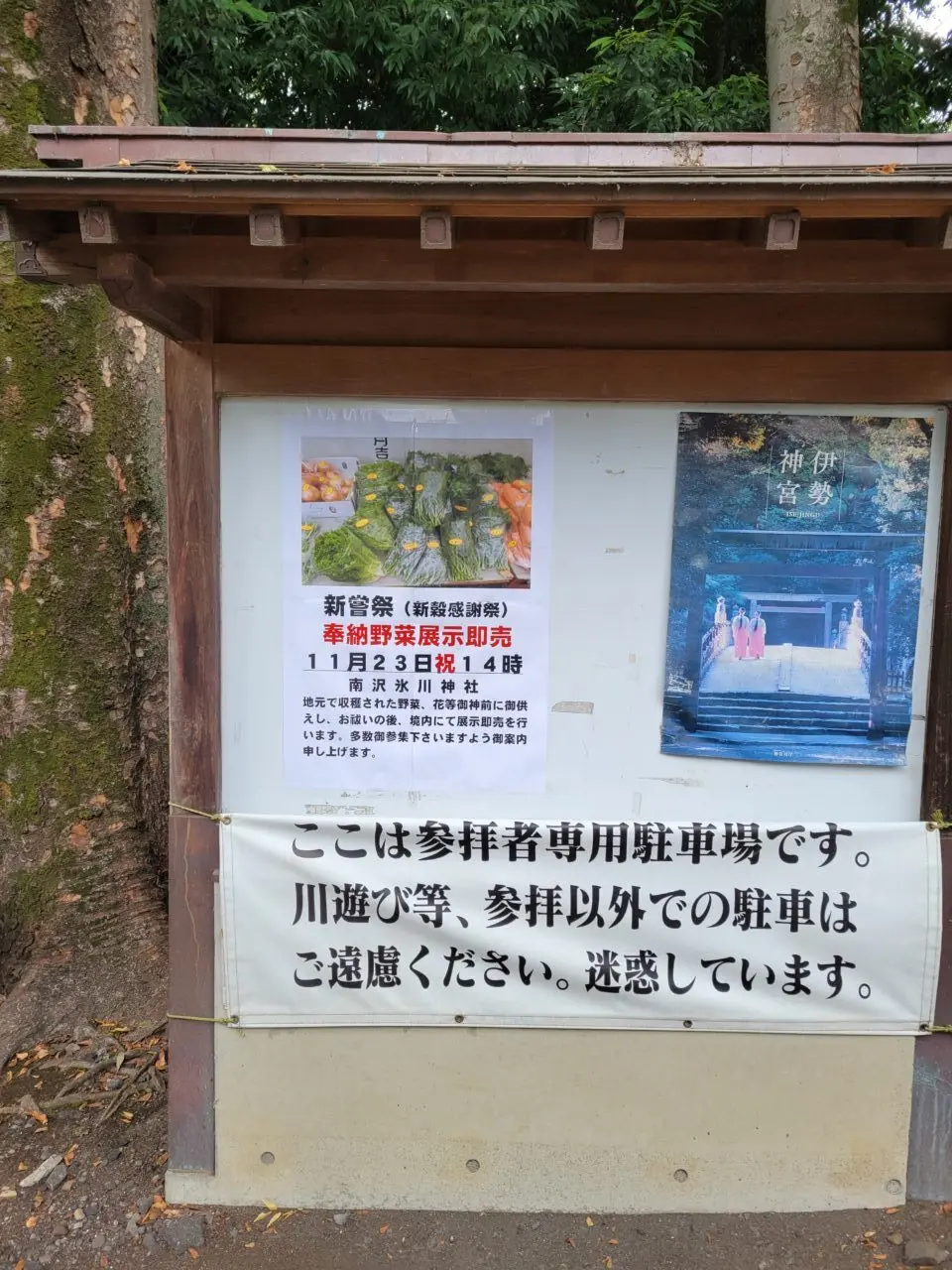 202511南沢氷川神社　新嘗祭