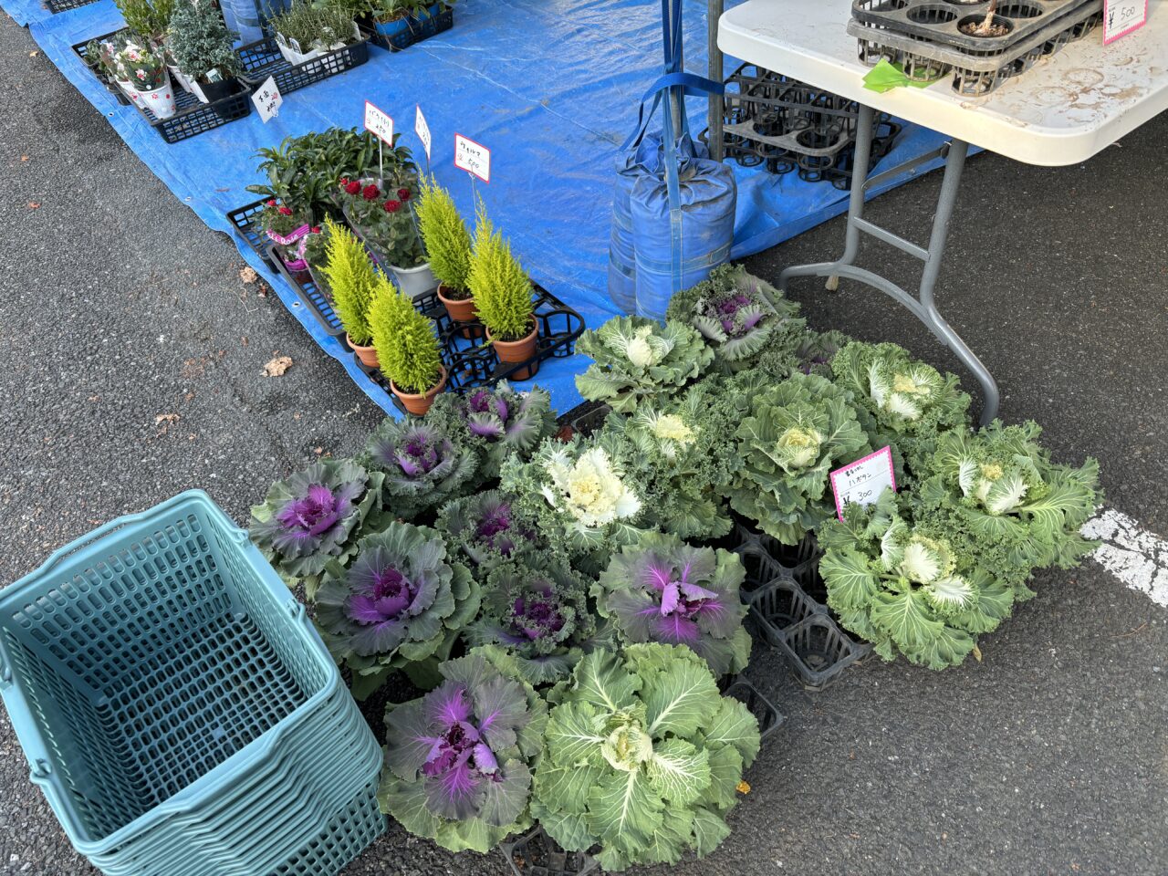 202511農業まつり