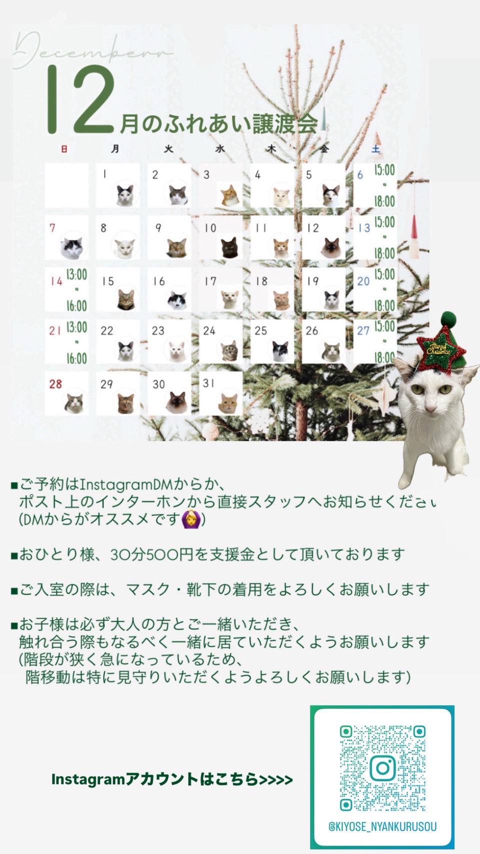 202512ふれあい譲渡会