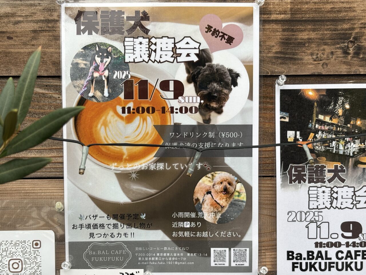 202511保護犬譲渡会